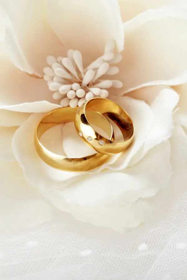 Hochzeitsreportage Standesamt Niederösterreich